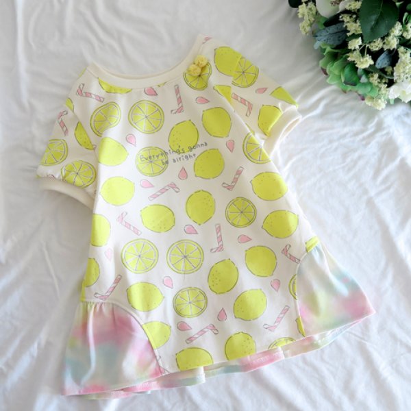 画像4: ひよこT (4)